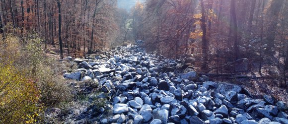 Das Felsenmeer im Herbst