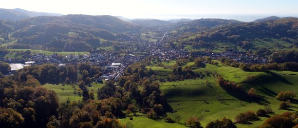 Reichenbach mit Blick ins Ried