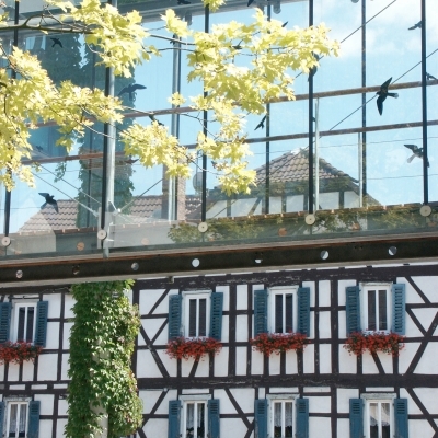Reichenbach, Gasthaus Zur Traube; Blick durch Glasgang am Rathaus